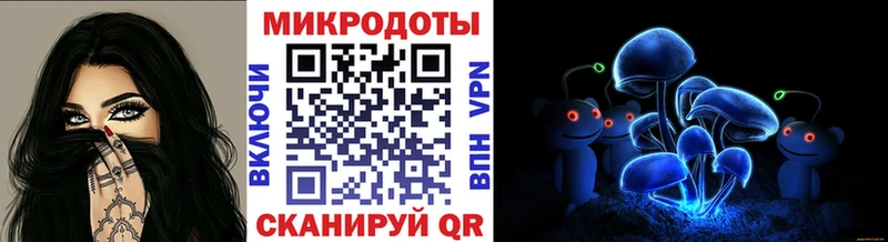 Галлюциногенные грибы Psilocybe  Вичуга 
